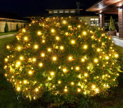 أفضل دليل تسوق لأضواء شجرة عيد الميلاد